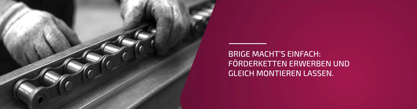 BRIGE Förderkettentausch – professioneller Kettenwechsel als Service