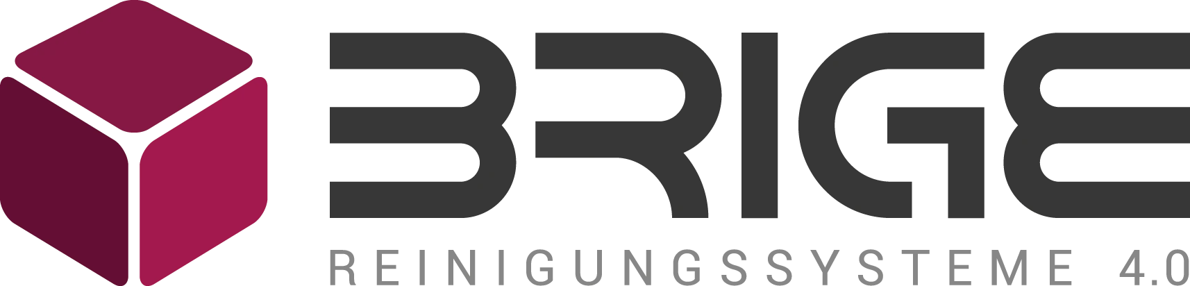 BRIGE – Schienen- und Kettenreinigung für Fördertechnik