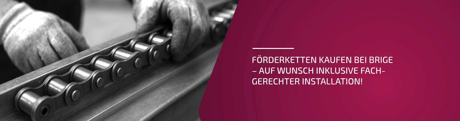 BRIGE Förderkettentausch – Professioneller Kettenwechsel als Service
