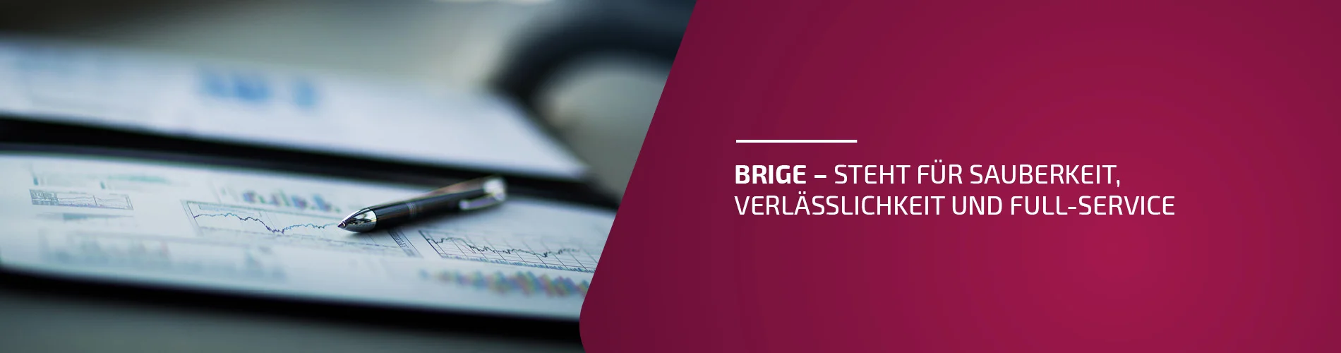 BRIGE Reinigungsbericht – Dokumentation der Serviceleistungen